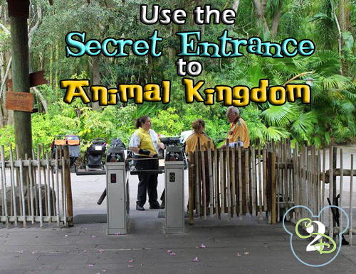 Secret Entrance To Animal Kingdom