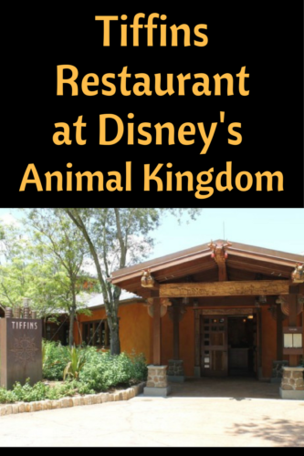 Tiffins Restaurant at Disney's Animal Kingdom