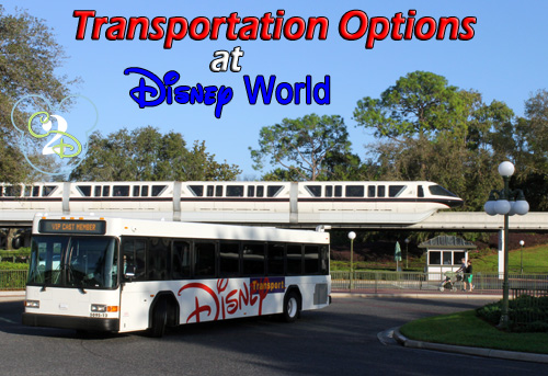Disney Transportation