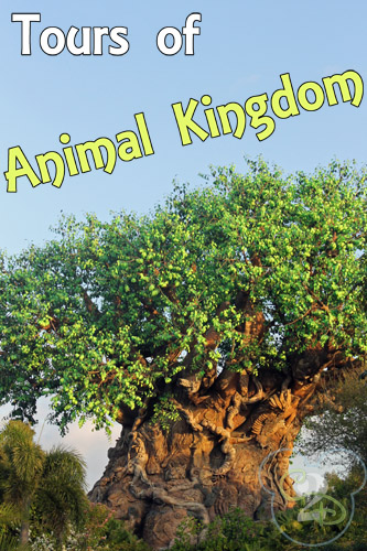 Tours of Animal Kingdom