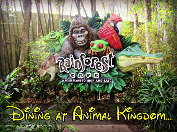 Rainforest Cafe Animal Kingdom