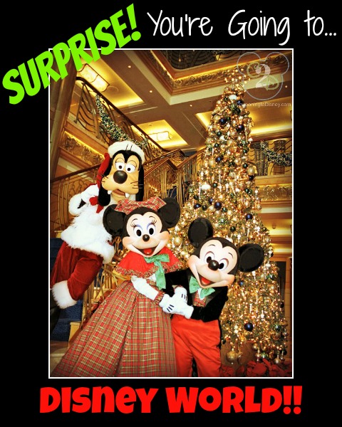 Surprise You are Going to Disney