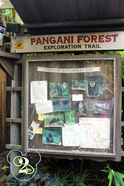Pangani Forest Animal Kingdom