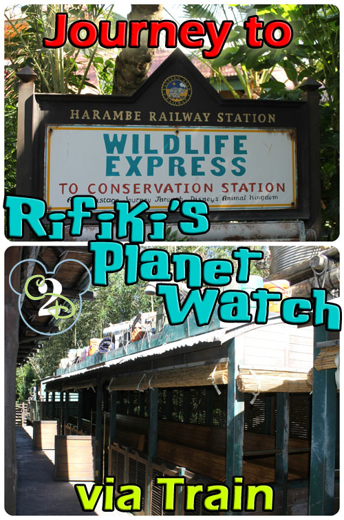 Rifiki's Planet Watch Train