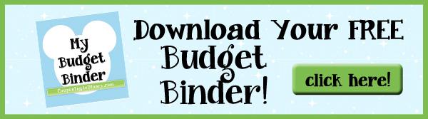 Budget Binder Banner