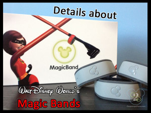 Details about Magic Bands