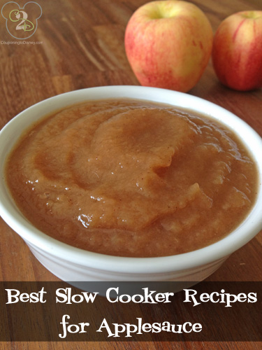 Best Slow Cooker Recipes for Applesace