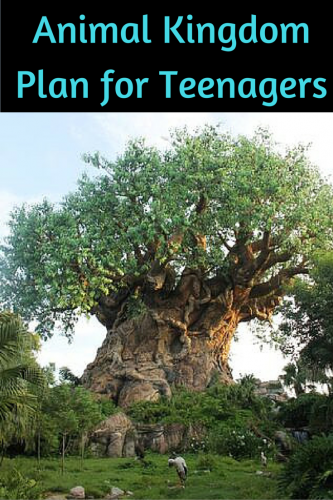 Animal Kingdom Plan for Teenagers