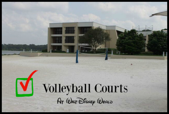 VolleyballCourts