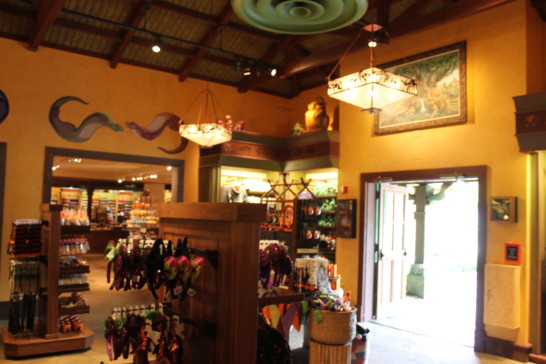Discovery Trading Company in Animal Kingdom