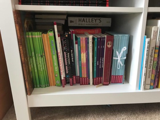 How To Organize Books On A Deep Bookcase, Deep Shelf Bookcase