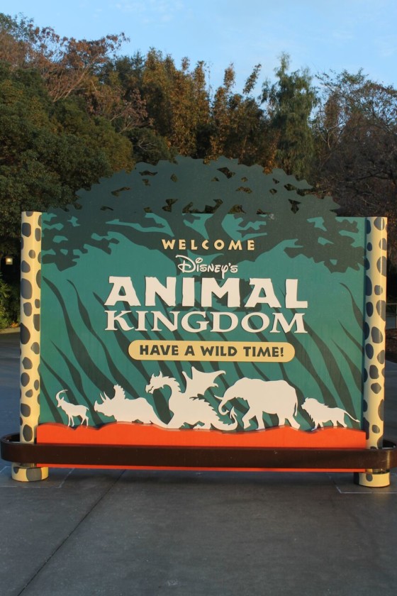 10 Best Kept Secrets Of Disney's Animal Kingdom Park