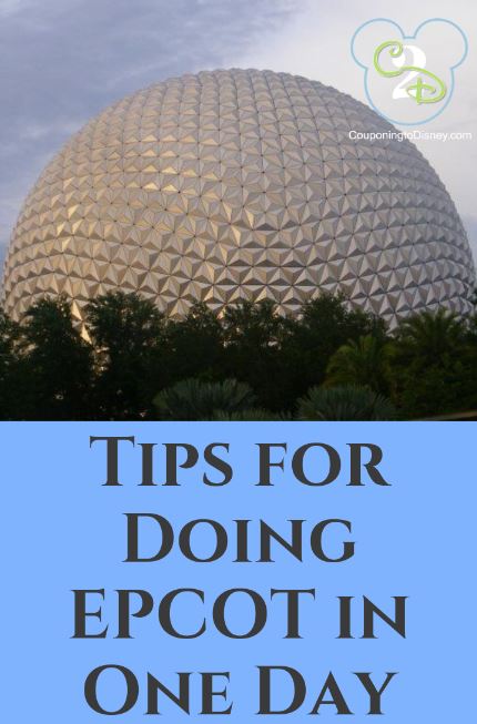 One Day Plan At Epcot